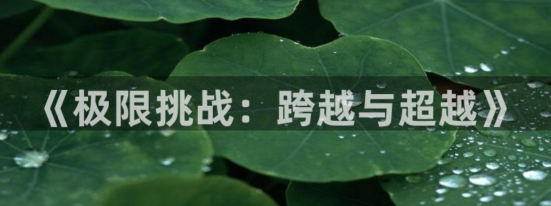 《极限挑战：跨越与超越》