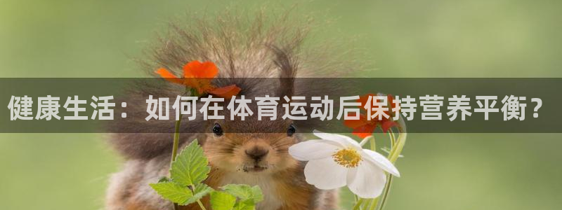 健康生活：如何在体育运动后保持营养平衡？